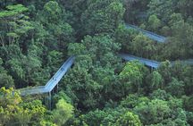 Mount Faber, Henderson Waves and Southern Ridges Tour