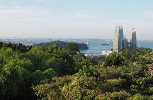 Mount Faber, Henderson Waves and Southern Ridges Tour