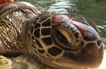 Salaam Cave, Prison Island, Secret Garden, Stone Town, Kuza Cave