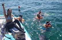 Beginner Friendly Island Snorkeling