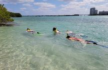 Beginner Friendly Island Snorkeling