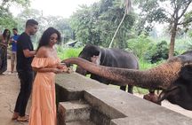 Guided round tour in srilanka 