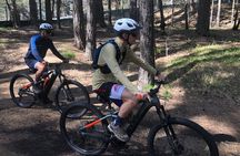 Half Day Tour to discover Etna by E-Mtb