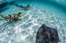 Cozumel Cielo Snorkel Adventure from Cancun and Rivera Maya