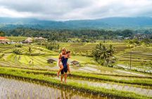 Northern Bali Tour - Private Full Day Tour - All Inclusive