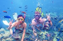 Da Nang/Hoi An: Cham Island Snorkeling, Sunbathing, Nice Beaches