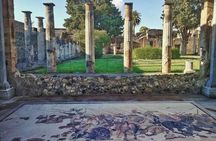 Pompeii Private Walking Tour with Expert and Authorized Guide