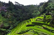 Bali Ubud Tour