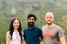 Discover Sri Lanka's Best in 3 Days: Sigiriya, Kandy & Ella 