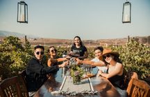 Tasting and tour through the vineyard