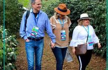 Visit to Coffee Farm with Tasting in Coatepec