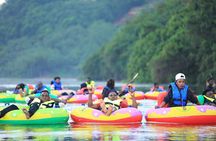 Tubing River Activity in Nile