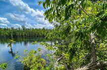 Clear Kayaking Eco Adventure Tour in Marianna