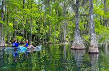 Clear Kayaking Eco Adventure Tour in Marianna