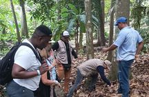 Eco-Cultural Excursion to a town!