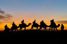  1 Night Camel Trekking in Merzouga