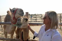 Dubai: Al Marmoom Oasis Vintage Safari: Camels, Stargazing & Meal