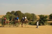 Dubai: Camel Caravan, Bedouin Breakfast with Al Marmoom Oasis 