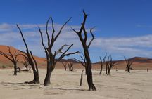 3-Day Sossusvlei & Deadvlei Shared Desert Tour from Windhoek