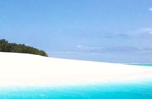 Mnemba Island Tour; Monkey Tour; Salaam Cave; The Rock Restaurant