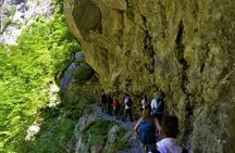 Mrtvica Canyon Hiking Tour