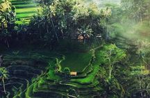 Bali Sightseeing 