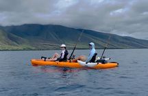 4 hour Private Custom Kayak Tour Lahaina
