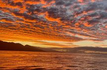 Whale Watch and Scenic Tour from Kayak