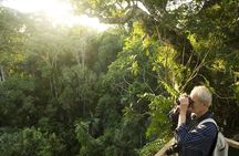 Cuc Phuong National Park Private Day Tour: Trekking & Primates 