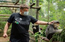 Cuc Phuong National Park Private Day Tour: Trekking & Primates 