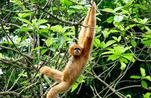 Cuc Phuong National Park Private Day Tour: Trekking & Primates 