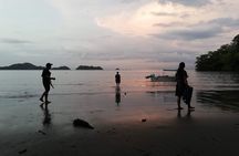 Bioluminescence Tour by Boat