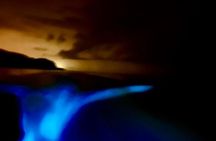 Bioluminescence Tour by Boat