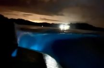 Bioluminescence Tour by Boat