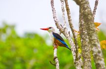 Santiago Island Tour: Meet with a Local Family & Tarrafal Beach