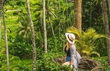 Bali Swing Tours Package 