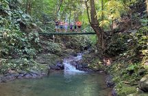 Special Private Waterfalls and Jungle Safari Tour
