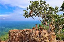 Koh Ker & Beng Mealea Temple Full-Day Private Tour from Siem Reap