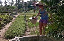 Hoi An Countryside by bicycle with local lunch ( Private tour)