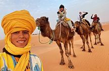 Shared Group Tours From Fes to Merzouga Desert - 2 days 1 night