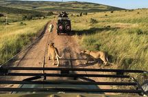 3 Days Private Tour at Masai Mara National Reserve