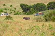 3 Days Private Tour at Masai Mara National Reserve