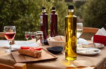 Tour and Wine Tasting in Mykonian Land 