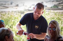 Tour and Wine Tasting in Mykonian Land