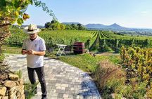 Lake Balaton private wine tasting and sightseeing from Budapest 