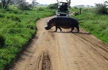 4-Day Tour in Lake Nakuru, Lake Naivash, Masai Mara from Nairobi