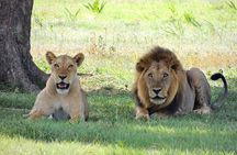 4-Day Tour in Lake Nakuru, Lake Naivash, Masai Mara from Nairobi
