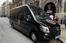 Guinness Pint Tour in Dublin with Tasting