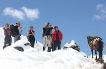9 Days Druk-path Trek with Cultural sightseeing