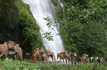 17 Nights Laya Gasa Trek with Royal Highland festival